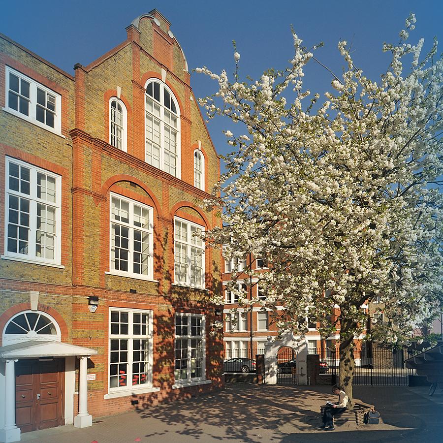 School Exterior Tree School Exterior Tree